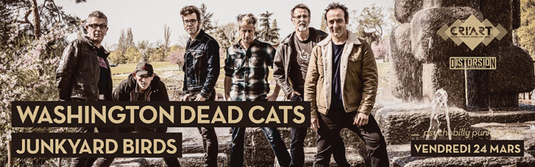 banniere_washington_dead_cats_site_2